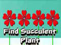                                                                     Find Succulent Plant קחשמ