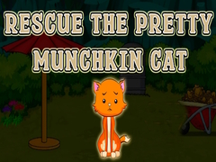                                                                     Rescue The Pretty Munchkin Cat קחשמ