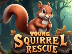                                                                     Young Squirrel Rescue קחשמ