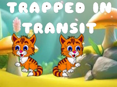                                                                     Trapped in Transit קחשמ
