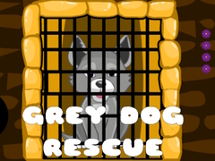                                                                     Grey Dog Rescue קחשמ