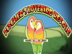                                                                     Fischer's Lovebird Rescue קחשמ