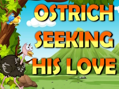                                                                     Ostrich Seeking His Love   קחשמ