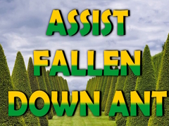                                                                      Assist Fallen Down Ant קחשמ