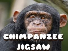                                                                     Chimpanzee Jigsaw קחשמ