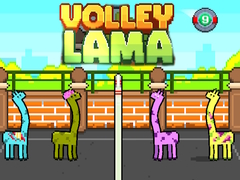                                                                     Volley Lama קחשמ