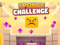                                                                     Sponge Challenge קחשמ