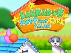                                                                     Labrador Puppy Daycare Salon קחשמ