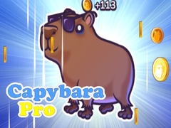                                                                     Capybara Pro קחשמ