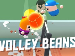                                                                     Volley Beans קחשמ