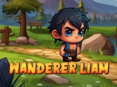                                                                     Wanderer Liam קחשמ