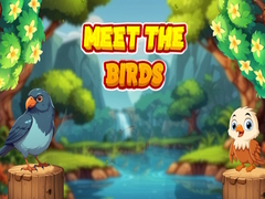                                                                     Meet The Birds  קחשמ