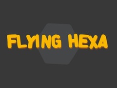                                                                     Flying Hexa קחשמ