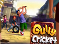                                                                     Gully Cricket קחשמ