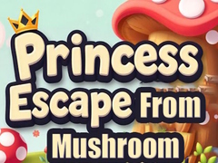                                                                     Princess Escape from Mushroom House קחשמ