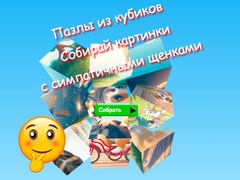                                                                     Jigsaw Cube Puzzles Collect Pictures with Cute Puppies קחשמ