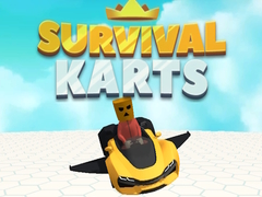                                                                     Survival Karts קחשמ