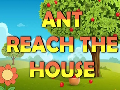                                                                     Ant Reach the House קחשמ