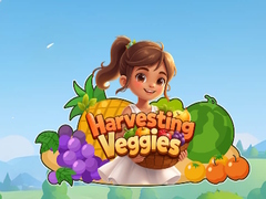                                                                     Harvesting Veggies קחשמ