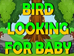                                                                     Bird Looking For Baby קחשמ