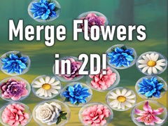                                                                     Merge Flowers in 2D! קחשמ