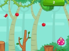                                                                     Hungry Birds קחשמ