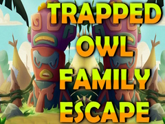                                                                     Trapped Owl Family Escape קחשמ