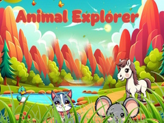                                                                     Animal Explorer  קחשמ