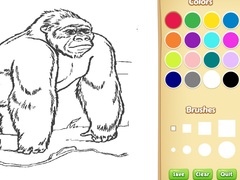                                                                     Zoo Animals Coloring Book for Kids קחשמ