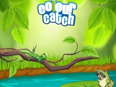                                                                     Colour Catch קחשמ