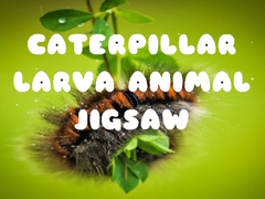                                                                     Caterpillar Larva Animal Jigsaw קחשמ