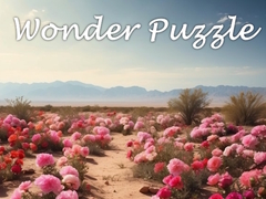                                                                     Wonder Puzzle קחשמ