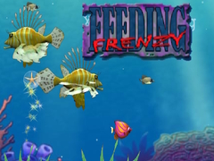                                                                     Feeding Frenzy קחשמ