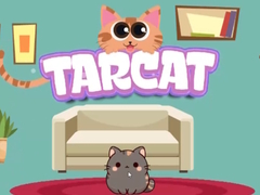                                                                     Tarcat קחשמ