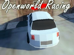                                                                     Openworld Racing קחשמ