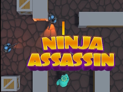                                                                    Ninja Assassin קחשמ