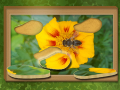                                                                     Find & Restore: Hidden Puzzle קחשמ