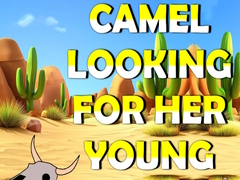                                                                     Camel Looking For Her Young קחשמ