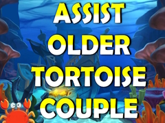                                                                     Assist Older Tortoise Couple קחשמ