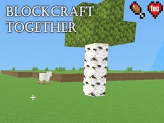                                                                     BlockCraft Together קחשמ