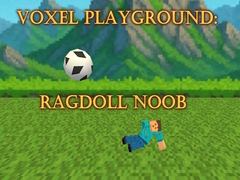                                                                     Voxel Playground: Ragdoll Noob קחשמ