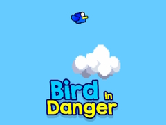                                                                     Bird in Danger קחשמ