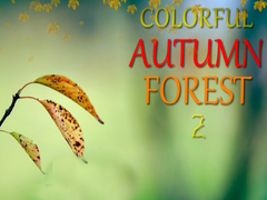 Colorful Autumn Forest 2 קחשמ