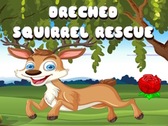                                                                     Drenched Squirrel Rescue קחשמ