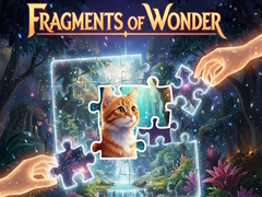                                                                     Fragments of Wonder קחשמ