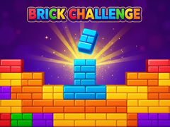                                                                     Brick Challenge קחשמ