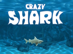                                                                     Crazy Shark קחשמ