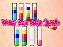                                                                     Water Sort Brain Puzzle קחשמ