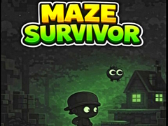                                                                    Maze Survivor  קחשמ