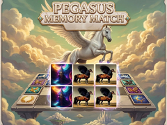                                                                     Pegasus Memory Match קחשמ